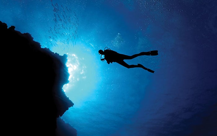 Diving Ocean