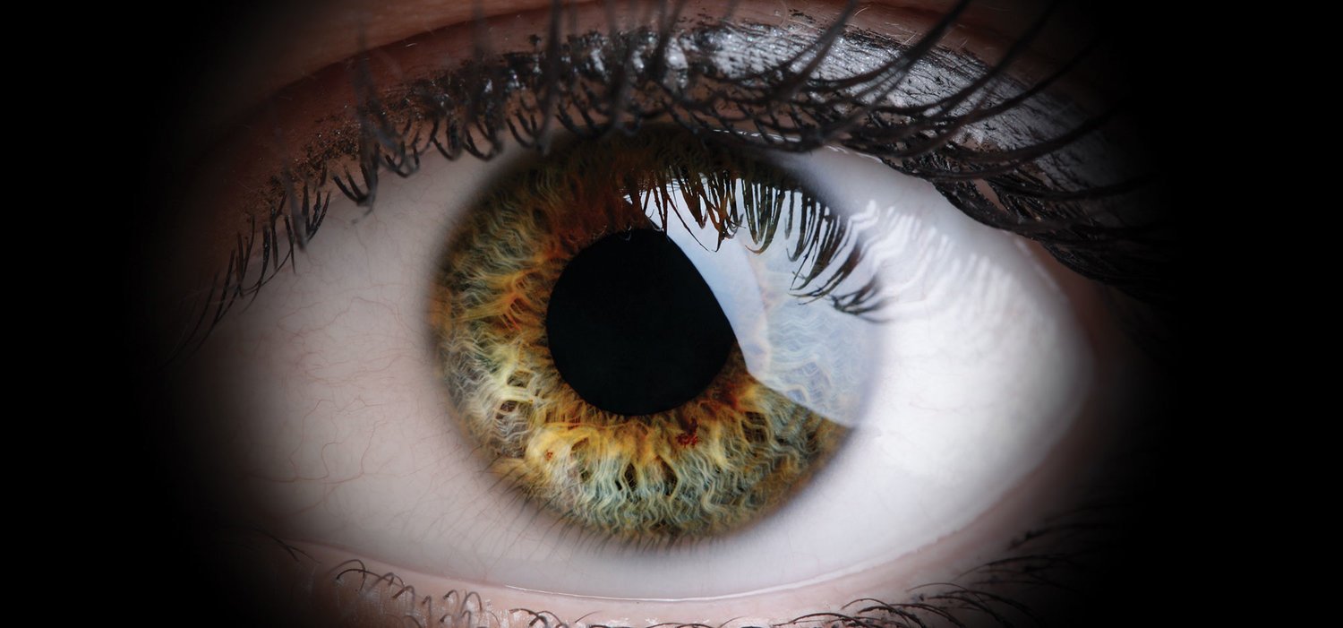 Human Eye